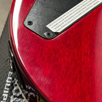 LTD EC-1000 - See Thru Black Cherry #71318 (Factory Demonstration Model) image 7