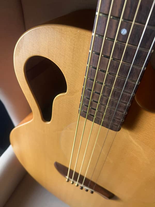 Tacoma BM6C Baritone Thunderhawk Datt Case image 1