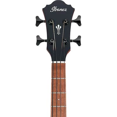 Ibanez AEG Series AEGB24E Acoustic Electric Bass Guitar Black High Gloss image 5