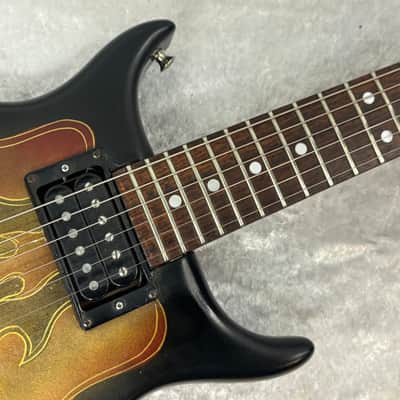 Washburn Raven electric guitar / flaming eagle refinish + Tweed case image 7