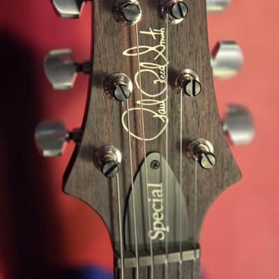 PRS Special Semi-Hollow 2022 - Custom Color image 16