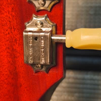 Gibson Les Paul Standard Appetite For Destruction Limited Edition 2010 - AFD image 11