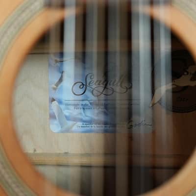 Seagull S12+ 12-String Acoustic Guitar (2004) - Used image 6