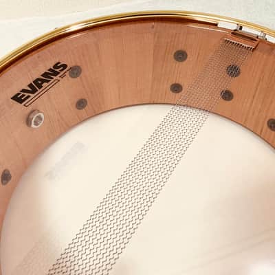 SFORZANDO 14" × 5" Sakura Stave Snare Drum image 6