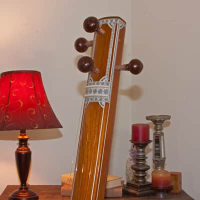 AB Satarmaker TMSP-ABS 58-Inch Professional Male 4-String Tanpura w/Gig Bag image 8