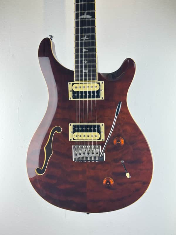 PRS SE Custom 22 Semi-Hollow Tortoise Shell 2019 Europe Exclusive LTD with bag image 1