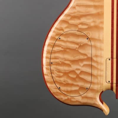 Alembic Series  II Five String Fretless Active Bass image 14