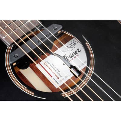 Ibanez Jon Gomm Signature Acoustic Electric Guitar Regular Black Satin image 8