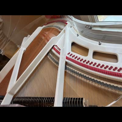 Stunning new 2026 transparent grand piano imagen 5