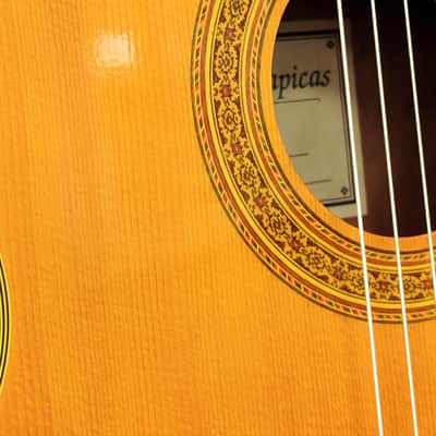 Enrique Tapicas C40 Cadiz Classical Guitar by Washburn - Natural image 4