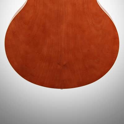 Seagull Entourage Mini Jumbo Acoustic Guitar, Rustic image 7