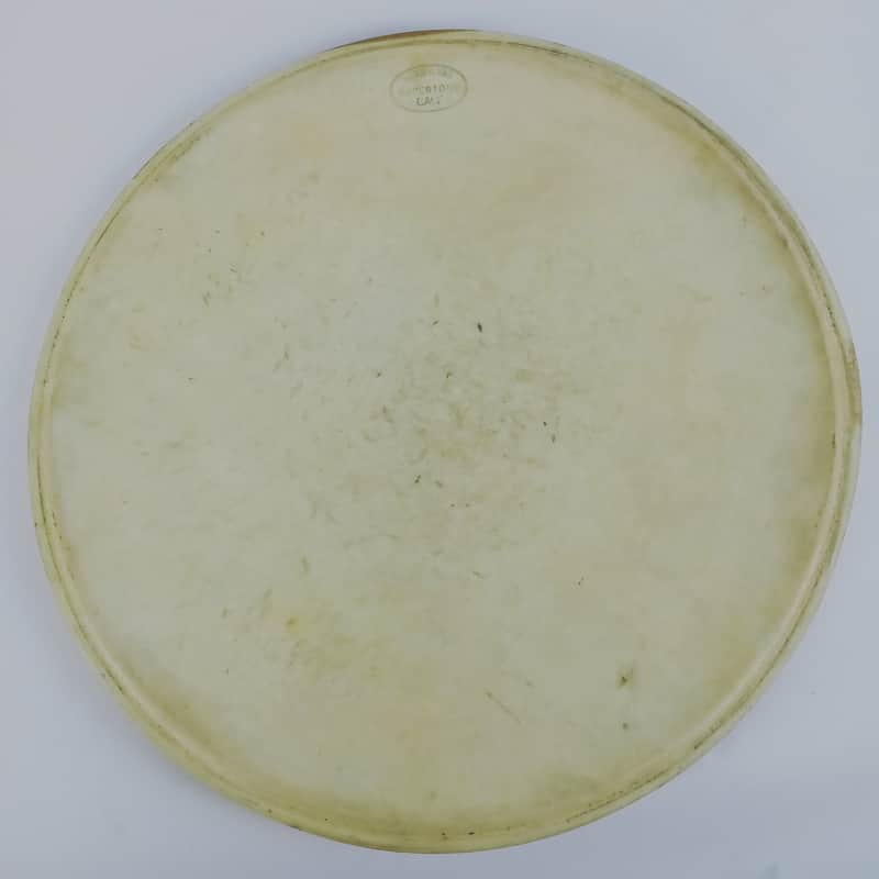 Slingerland 16"Supertone" Calf Skin Floor Tom Drum Heads Vintage 30s Chicago USA image 1