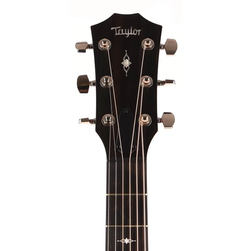 Taylor 317 with V-Class Bracing Left-Handed image 5