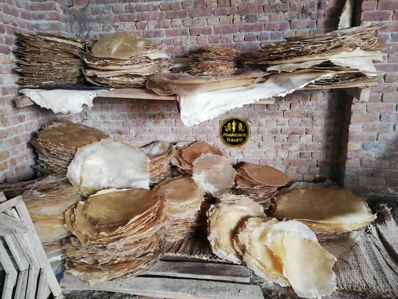 16 Inch Natural Goat Skin Drum Head | Raw Uncut for Djembe Dholak Conga image 1