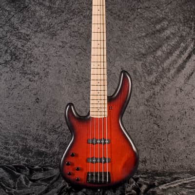 Sandberg Panther TT 5-string RB BM image 1