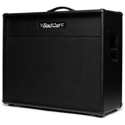 Bad Cat Era Guitar Speaker Cabinet (120 Watts, 2x12"), Black, 16 Ohms image 3