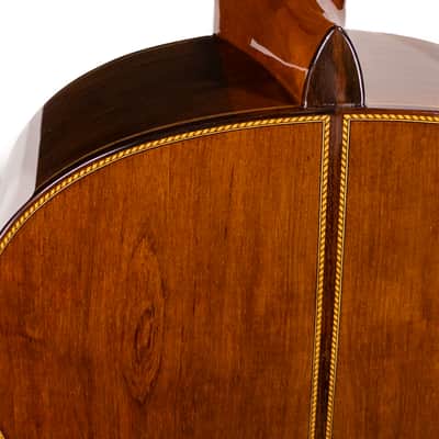 Yamaha GC42C - All Solid Classical Guitar - Cedar/Madagascar Rosewood - 2026 image 11