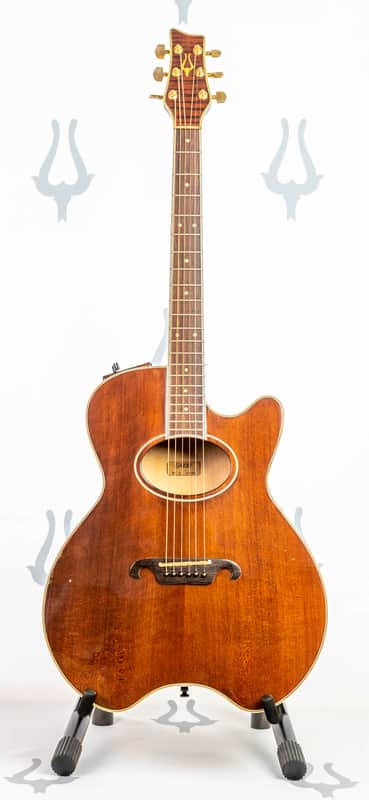 Daion The Year Series '81 Caribou - Brown (BR) - Electric Acoustic Six String image 1