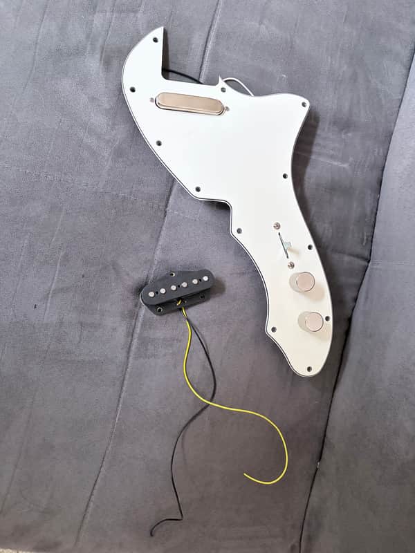 Squier Telecaster Thinline Loaded Pickguard image 1
