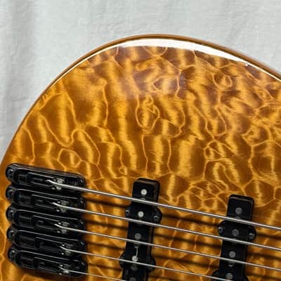 Parker USA FB-5 fb5 Fly 5-string Bass image 3