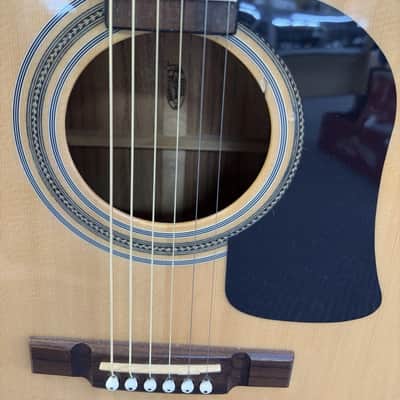 Washburn D13S 1994-1996 image 4