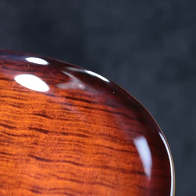 PRS SE Custom 24 Orange Tiger Smokeburst Flame Maple Top Electric Guitar w/Bag image 12