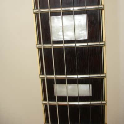 D'Angelico DAPDCVSBCSCB9EX Premier DC Boardwalk (P90s) Semi-Hollow Electric Guitar, Vintage Sunburst (Guitar Center Exclusive) image 9