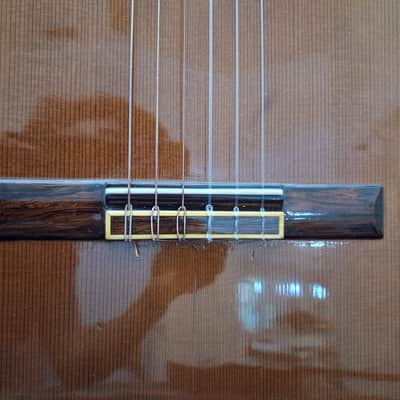 Michael Gee Concert Level Classical Guitar Bild 2