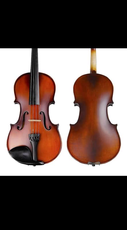 Strumenti a Corde 2500 Viola 14" - Solid Wood Viola with Bow and Case image 1