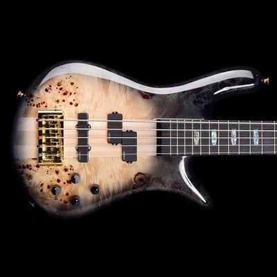 Spector Euro 5 CST 2026 - Natural Black Burst Gloss image 1