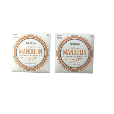 D'Addario Octave Mandolin Strings 2 Pack Phosphor Bronze Medium Loop End