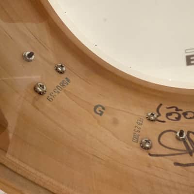 Craviotto DW RARE Green Badge Signed Wood Hoop - Solid Wood Snare 2003 image 6