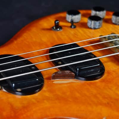 Oasis Bass by Gary Cooper from Alembic 1977-1983 Amber image 6