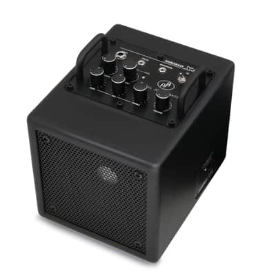 Phil Jones Bass 35W Nano Bass Amp, Black, Lightest Portable Tone-To-Go, Only 5.3 lbs.! image 5