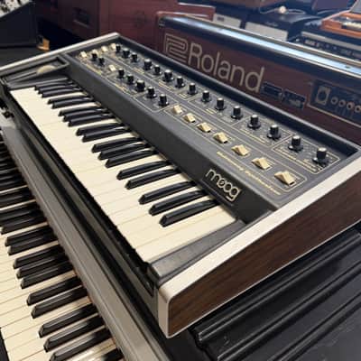 Immagine Moog Multimoog - 4