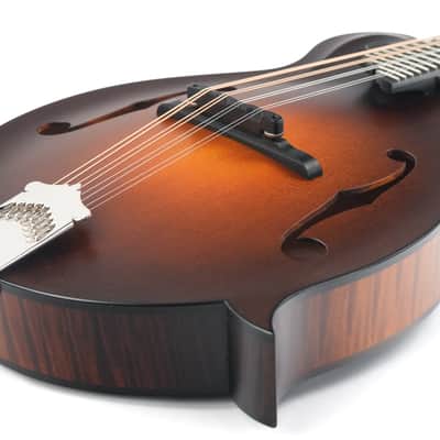 Collings MF F Style Mandolin 2022 image 13