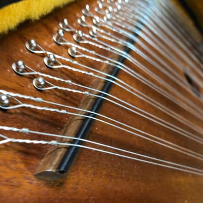 Dusty Strings D10 Dulcimer image 3