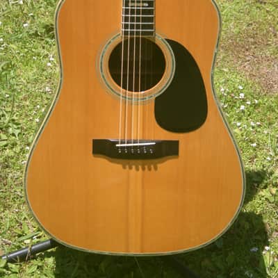 1976 Yairi YW800 Brazilian Rosewood Jacaranda Japan Vintage - Natural+Vintage Hard Case image 2