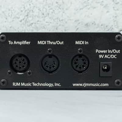 RJM Mini Amp Gizmo image 2