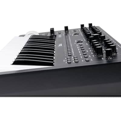 Moog Music Messenger Monophonic Analog Keyboard Synthesizer image 5