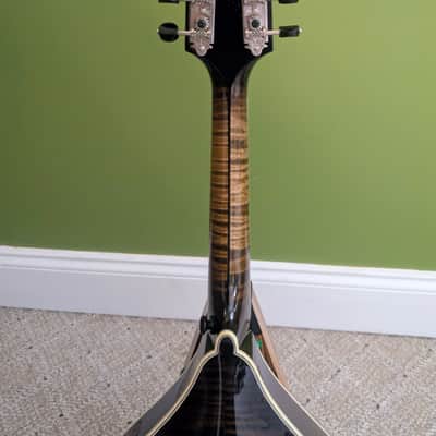 Northfield Mandolin NFMSP A5 2024 image 8