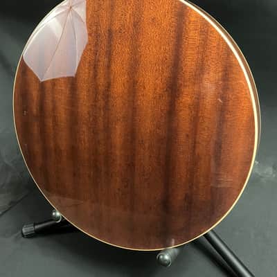 Recording King RK-R20 Songster 5-String Bluegrass Banjo image 12