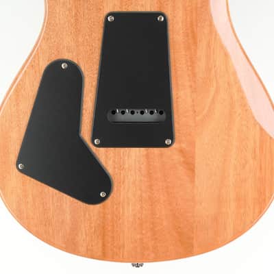 PRS SE Custom 24 Swamp Ash image 3