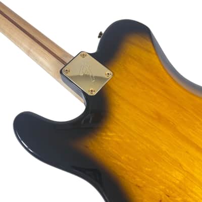 2016 Fender Richie Kotzen Telecaster MIJ - Brown Sunburst image 18