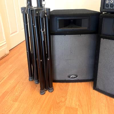 Peavey Pro 15 speakers 2004 image 2