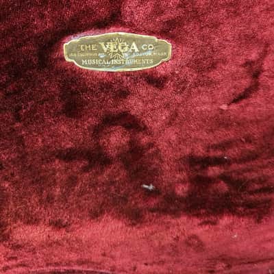 Vega Archtop Case - Will fit Gibson, Martin etc Brown/Purple image 7