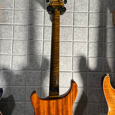PRS Custom 24 Private Stock image 5