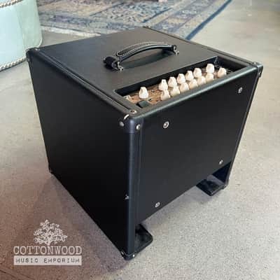 DV Mark AC 101 Acoustic Combo Amplifier (Black) - Excellent Condition image 3