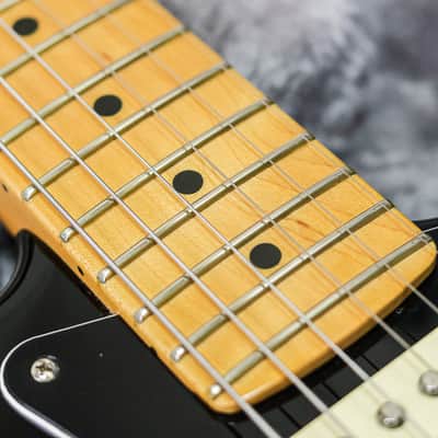 Fender American Professional II Stratocaster 2021 | Black image 10