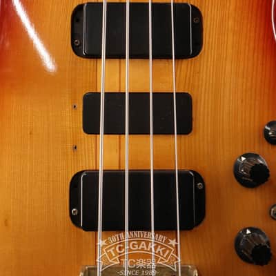 Fernandes 1979-1981 FPM-100 image 8
